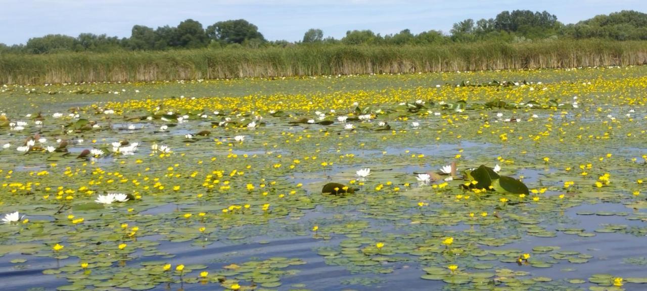 Вилла Kifog-Lak Vendeghaz Поросло Экстерьер фото